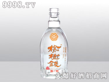 ˷߰ϲƿǮYT-163-500ml